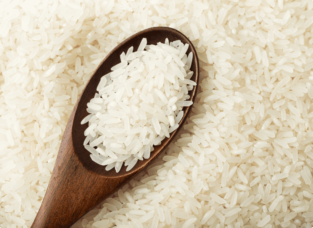 white-rice-on-spoon-2022-09-16-03-01-54-utc-1-1